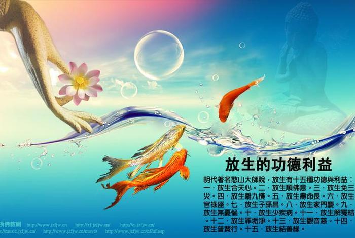 佛教放生的功德和福报和注意事项，佛教放生的功德和福报和注意事项有哪些