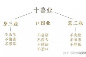 十大不善业；十不善业是如何分类的