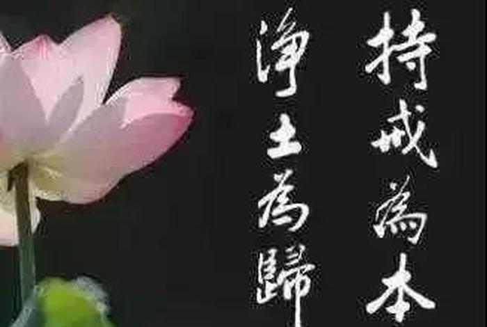 一分钟看懂学佛 - 学佛官方网站