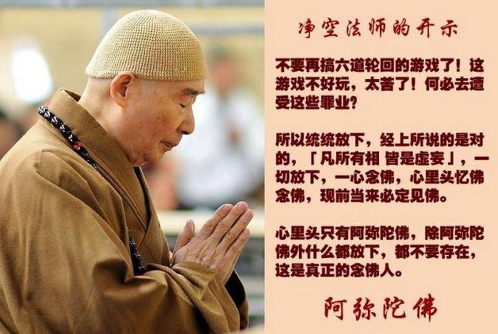 认识佛教app；认识佛教第五集净空老法师讲解