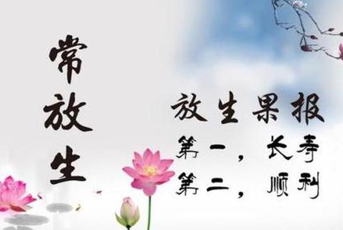 佛教慧学 学佛学智慧
