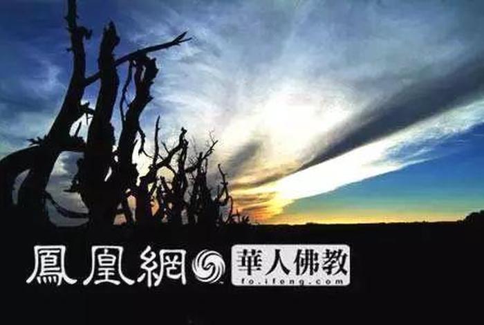 凤凰网 佛教；凤凰网佛教一日禅
