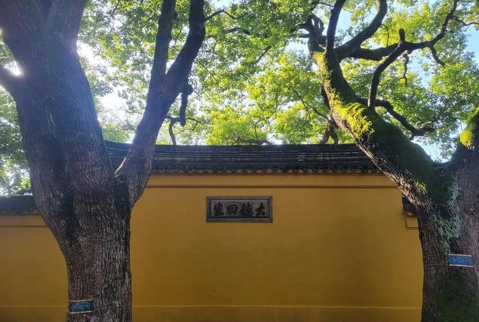 佛教遇到债主讨债要怎么办（佛教欠债）