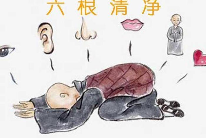 净界法师六根六尘六识；佛教中六根六尘六识