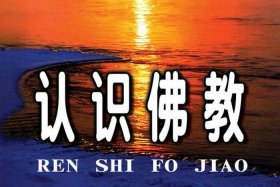 佛教教学视频大全免费观看 佛教教育视频
