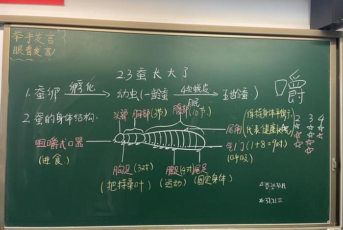 佛教基础知识教学反思 - 佛教基础知识教学反思总结