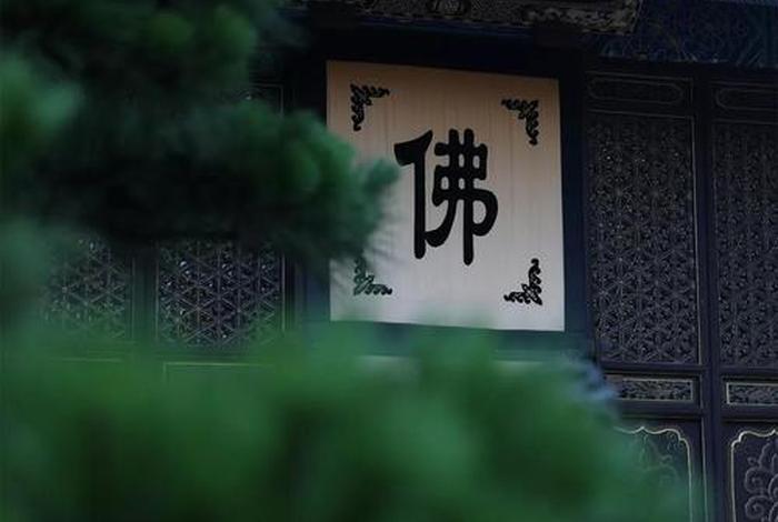 查询佛教的知识网站，佛教在线查询