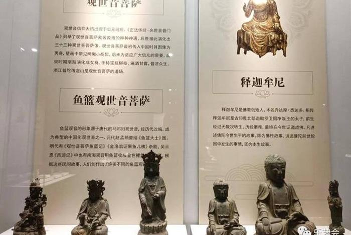 佛教造像科普知识讲座视频大全（佛教造像艺术展）