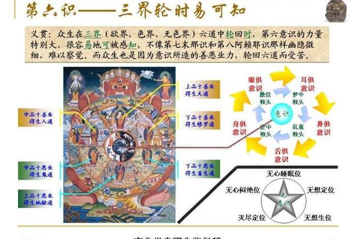 佛学的六根和六尘是什么（佛教中六根六尘六识）