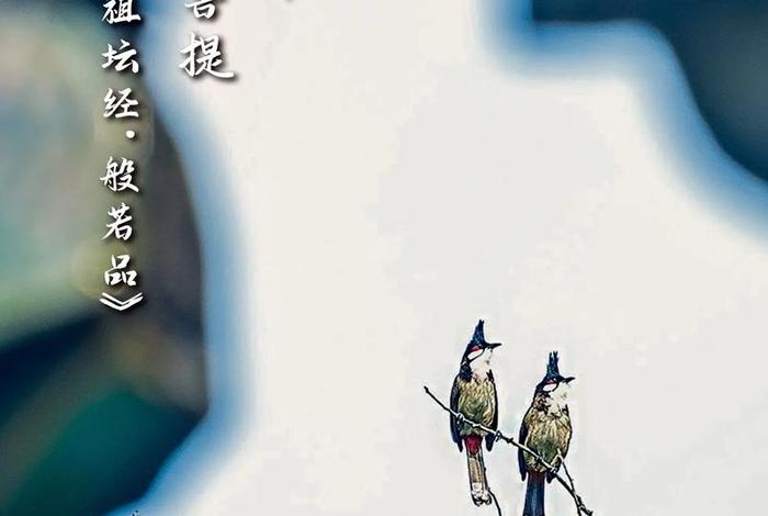 佛教的反凡夫常识，反佛人士