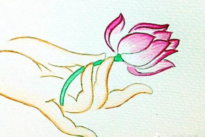 佛教莲花图片大全；佛教莲花图片大全手画