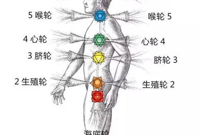 心轮在身体哪个部位，心轮在哪个位置