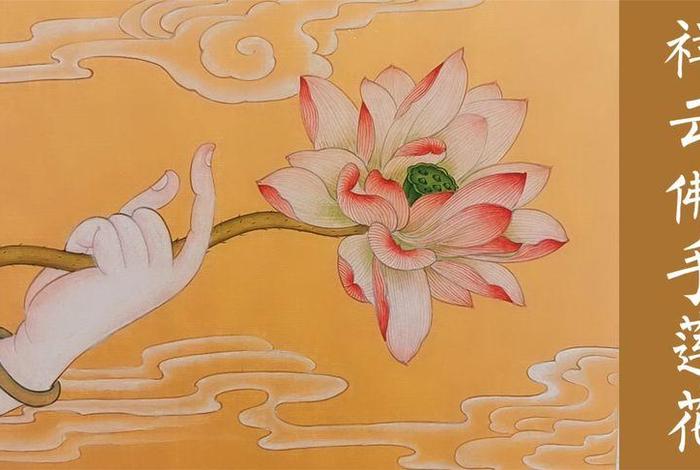 佛教莲花图片大全；佛教莲花图片大全手画