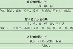 佛教慧学 学佛学智慧