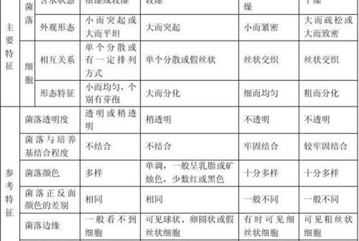 微生物相关知识视频讲解；微生物基础知识讲解