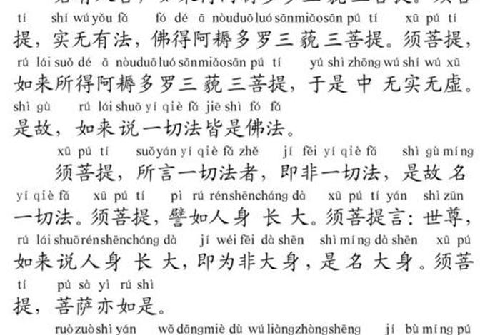 佛教入门知识金刚经视频（佛教入门知识金刚经视频全集）