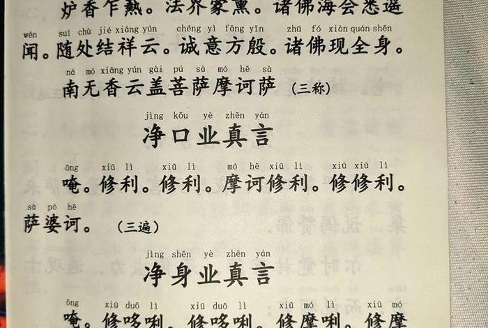 佛教净口业（佛教净口业真言的意思）