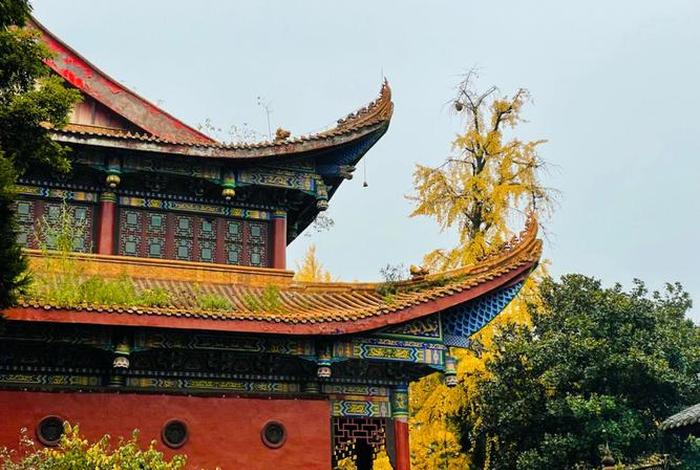 成都想学佛学去哪里学 成都求学最灵验的寺庙