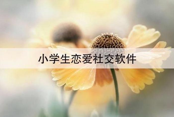 小孩子谈恋爱用什么软件，小学生谈恋爱用什么软件