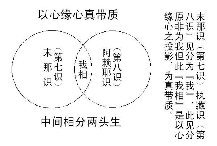 佛经阿赖耶识这个名称从何而来、阿赖耶识的由来