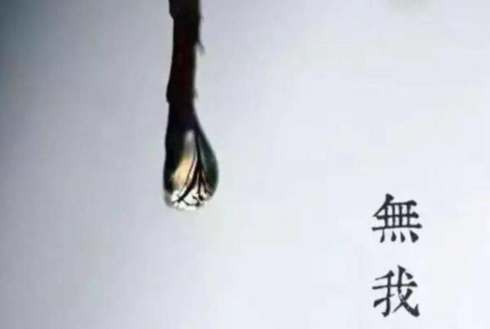 无我意思解释，无我的含义