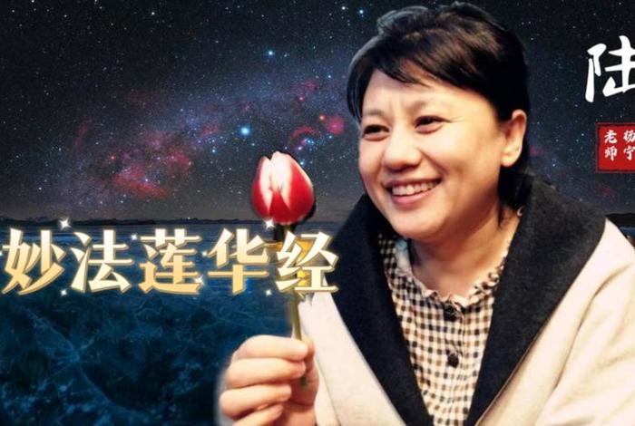 杨宁教授简介；杨宁老师本科
