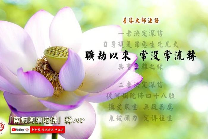 佛教善歌分享平台 善佛教网站
