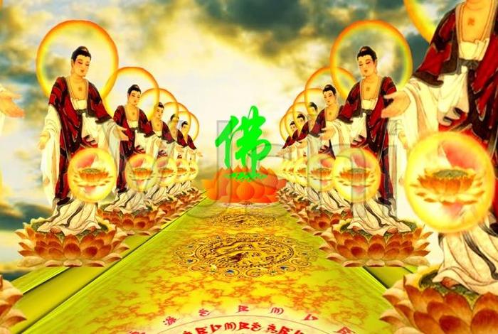 佛教感人肺腑短视频；佛教短片