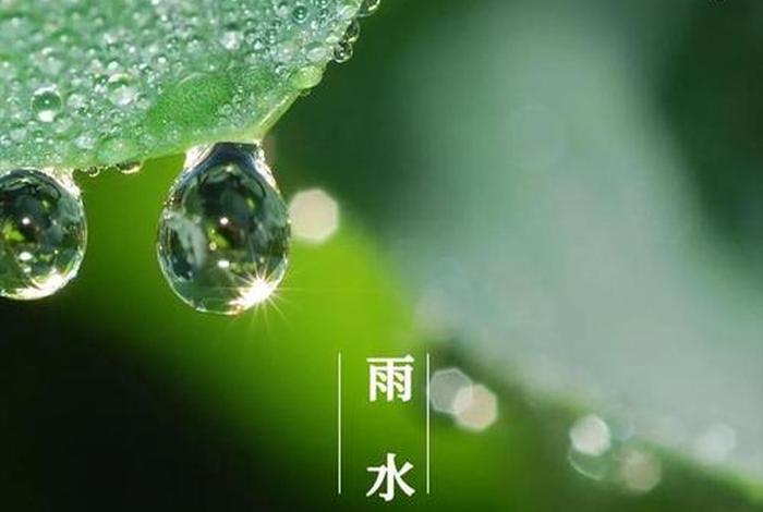 雨水节气百度百科，雨水节气秒懂百科