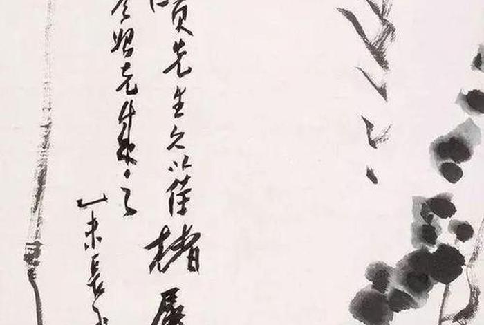 闲者知无涯吴魏 闲者知无涯为什么不播了