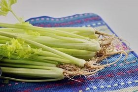 佛教吃素可以吃芹菜吗 - 素食可以吃芹菜吗