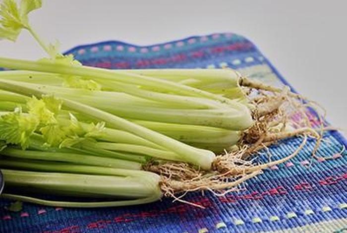 佛教吃素可以吃芹菜吗 - 素食可以吃芹菜吗