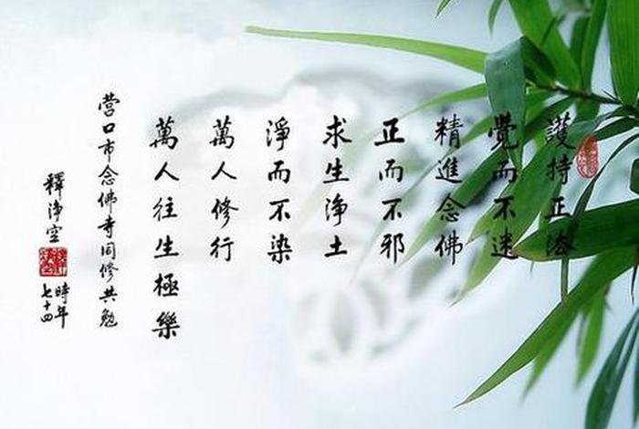 每日一禅佛经 - 佛教每日一禅感悟人生