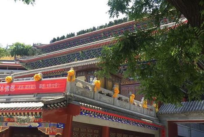 大悲古寺是什么道场 大悲古寺 大悲寺