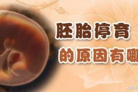 佛说胚胎停育是怎么回事，佛说胎停育是什么债