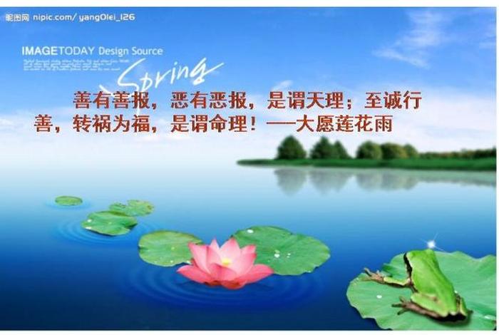 佛教因果经典语句；佛教 因果