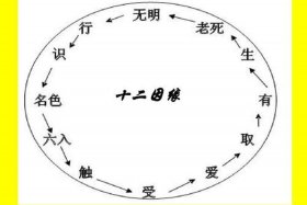 佛教弟子的四种缘分（佛教的弟子相有哪些内容）