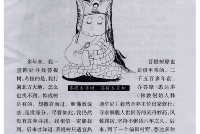 菩提树佛教知识大全 菩提树有什么用途