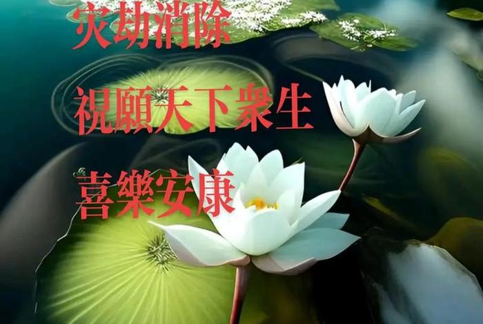 感恩老师的佛语；佛歌感恩老师