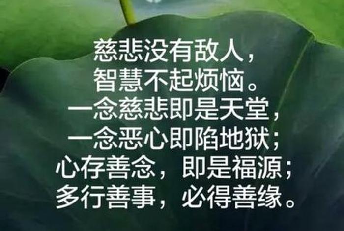 佛教慈悲是什么意思（佛学慈悲）