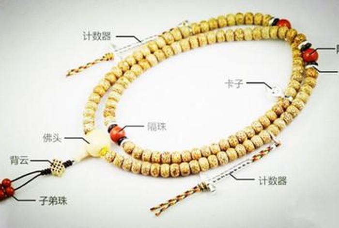 佛教珠串有什么讲究（佛教用的佛珠都是什么材质）