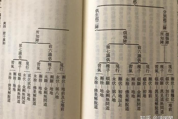佛教讲的烦恼障和所知障是什么（什么叫烦恼障？什么叫所知障？）