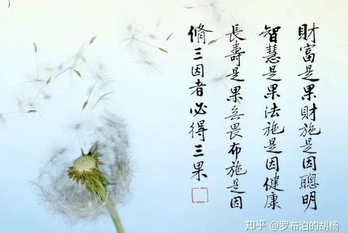 佛学上讲无我是什么意思、佛学中无我是什么意思