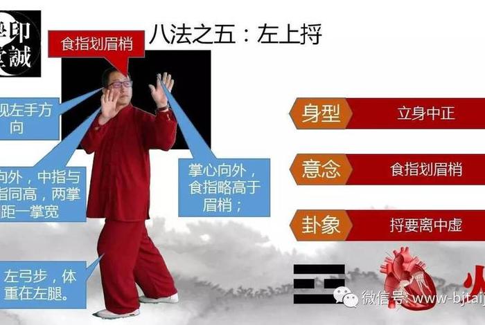 一分钟学会太极八法 太极八法教学示范