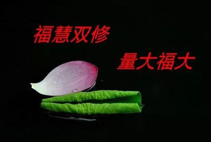 无财布施的方法 - 如何做财布施