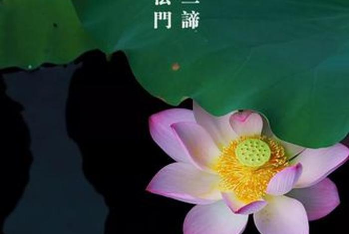 不二佛教用语介绍、佛教中讲的不二是什么