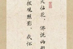 佛教感情治愈系短句 - 佛学情感经典语录
