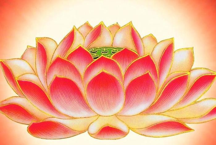 佛教问答说莲花代表什么，佛教中莲花代表什么意思