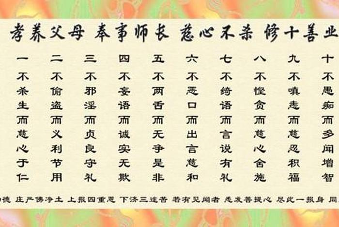 佛学第九识（佛教第九识第十识）