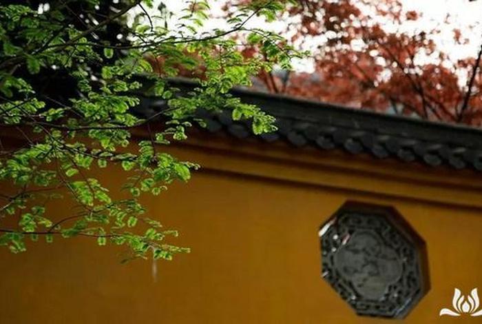 寺院丛林法则；丛林寺院清规大全